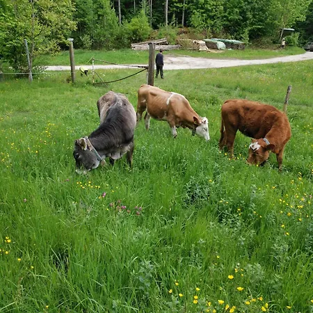 Appartement Achnerhof