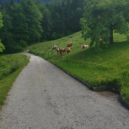 Achnerhof Appartement *